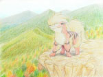 [PokeCommunity.com] ~Autumn Daily Chit Chat~