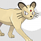 Saffire Persian