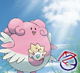 ハピナス & トゲピー