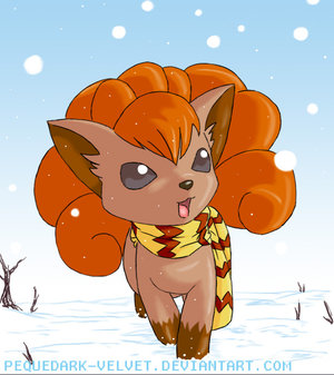 002  Vulpix w Scarf in winter