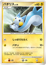 021536 P PACHIRISU
