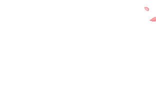 1119s