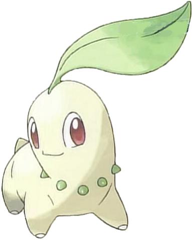 152Chikorita