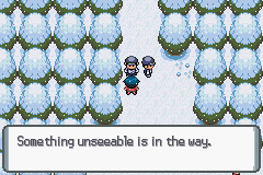 [PokeCommunity.com] [Hack of the Year 2012] POKéMON LIGHT PLATINUM