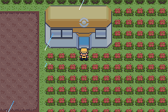 [PokeCommunity.com] Pokemon Cintrine (Final Release released)
