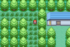 [PokeCommunity.com] Pokemon Peridot Version
