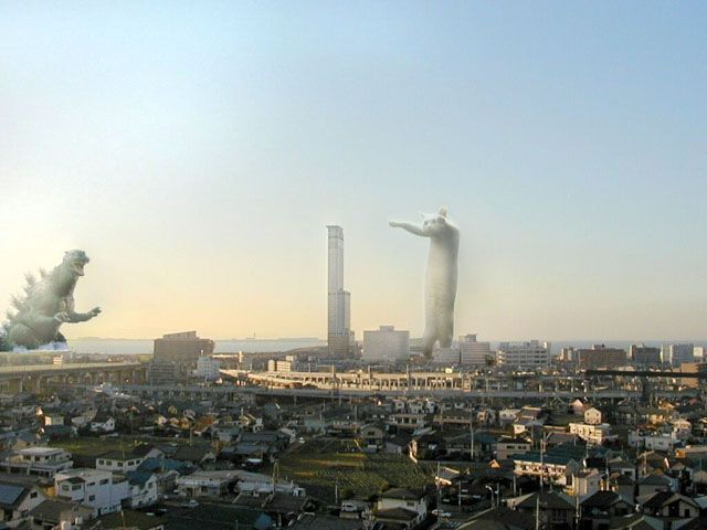 224467
