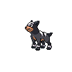 #228 Houndour