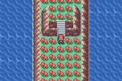 [PokeCommunity.com] pokemon light platnium