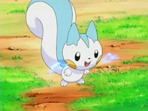 290px Pachirisu