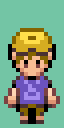 [PokeCommunity.com] ROM Raiders