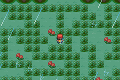 [PokeCommunity.com] Dark Shadows
