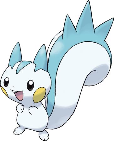 417Pachirisu