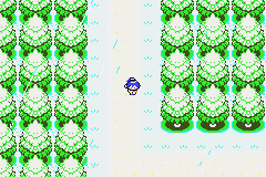 [PokeCommunity.com] Dark Shadows