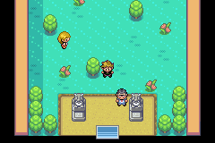 [PokeCommunity.com] Pokemon - Sky SD