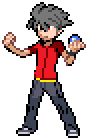 [PokeCommunity.com] Team Masterz