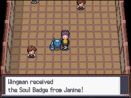 [PokeCommunity.com] Combined Pokemon Solo Challenge Thread