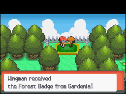 [PokeCommunity.com] Combined Pokemon Solo Challenge Thread