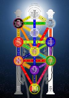 543px Tree of Life 2009 large