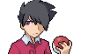 [PokeCommunity.com] tnguye3's fakemon sprites! =^.^=