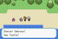 [PokeCommunity.com] Pokemon Shadow Grey - Shades of the Past Await