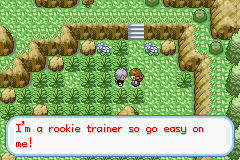 [PokeCommunity.com] Pokemon Shadow Grey - Shades of the Past Await