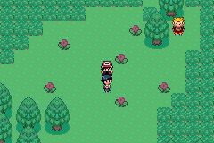 [PokeCommunity.com] Pokemon Resolute Version (Version 2.97 Released)