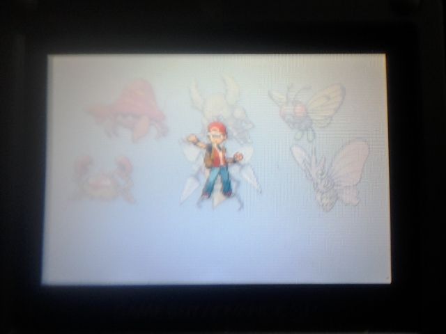 [PokeCommunity.com] The Ultimate Monotype Challenge