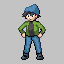 [PokeCommunity.com] Team Prophecy Flame