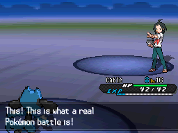 [PokeCommunity.com] The Ultimate Monotype Challenge