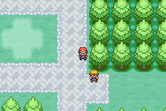 [PokeCommunity.com] Pokemon Flare Red Version