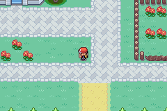 [PokeCommunity.com] Pokemon Flare Red Version