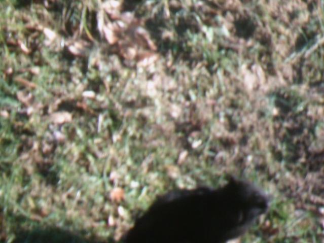 a brief glimpse of my baby lucky