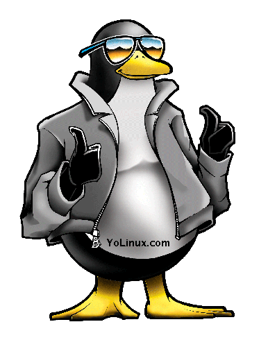a cool linux penguin!