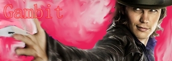 A Gambit banner that I had made by Graceful.  Gambit totally pwns.