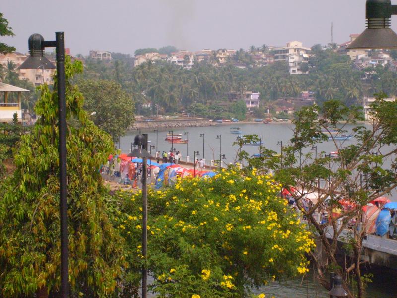A pic from Goa.