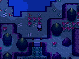 A picture of a new route. I was wrong when I chose a fog on this map. There's a huge forest up ahead from this route, that map is supposed to have tha