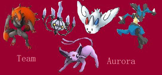 A picture of a PMD team!