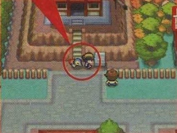 a pokemon following you