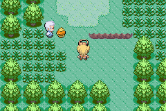 A preview of Pokémon Topaz V1.