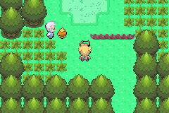 A preview of Pokémon Topaz V2.