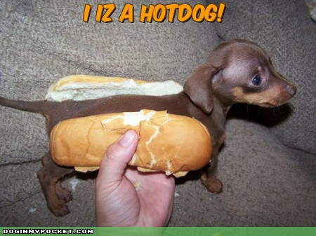 A real "hotdog" XD