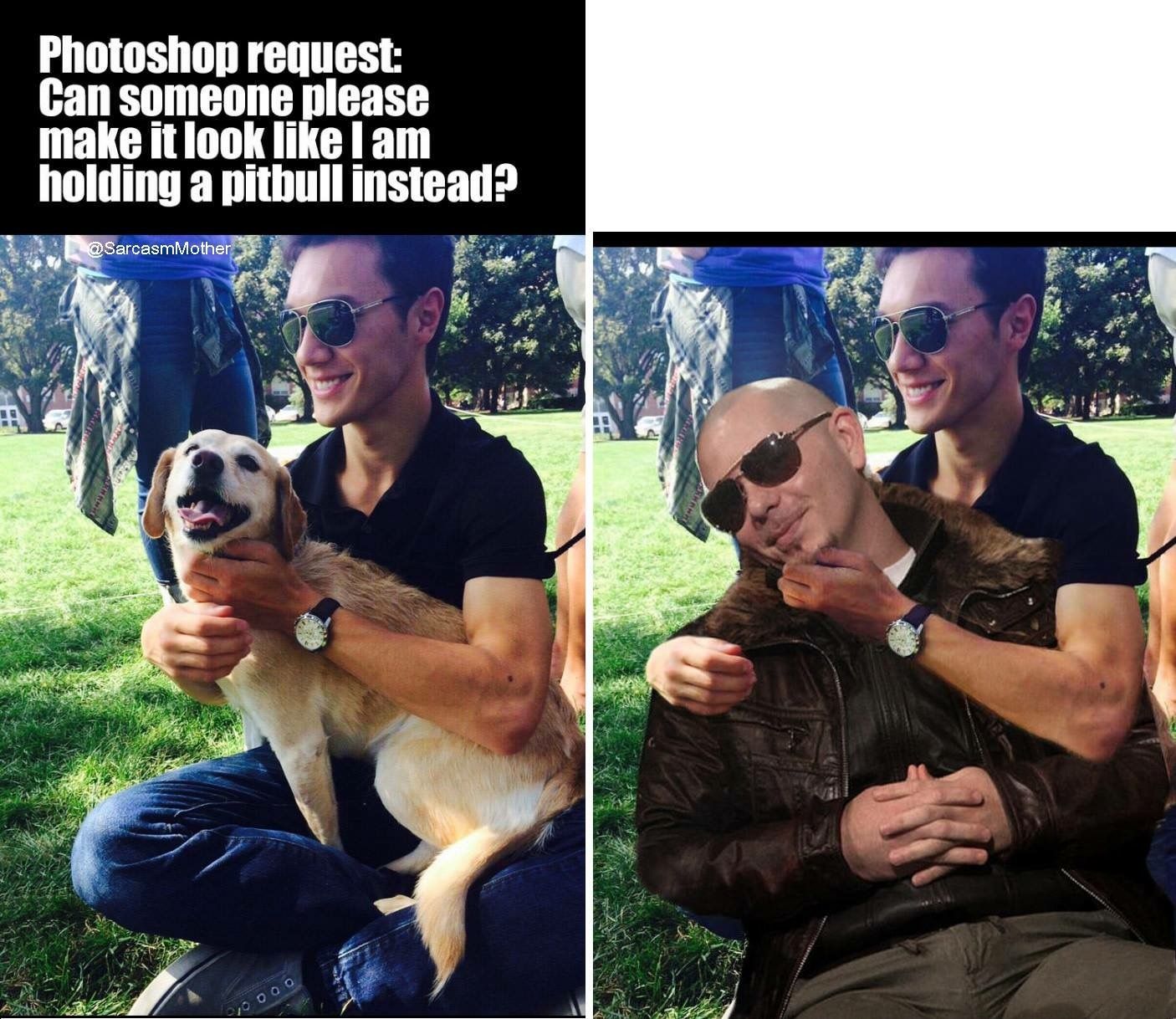 A Year of Funny Pictures for October 15th, 2016.
