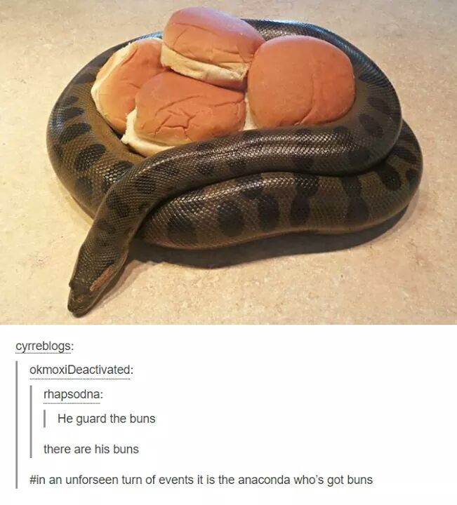 A Year of Funny Pictures for September 22nd, 2016.