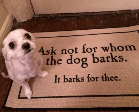 A Year of Funny Pictures for the day of August 16th, 2016.