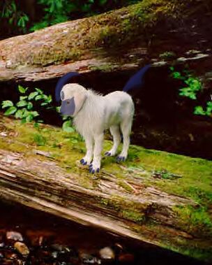 absol
