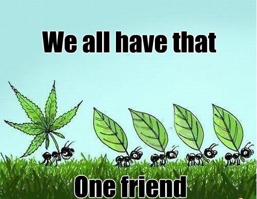 Admit it, we all do