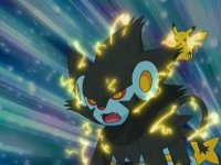 Aggressive Luxray!