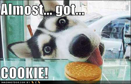 Almost...Got...Cookie!