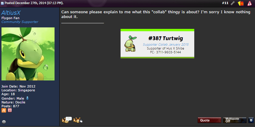 AltiusX - Turtwig